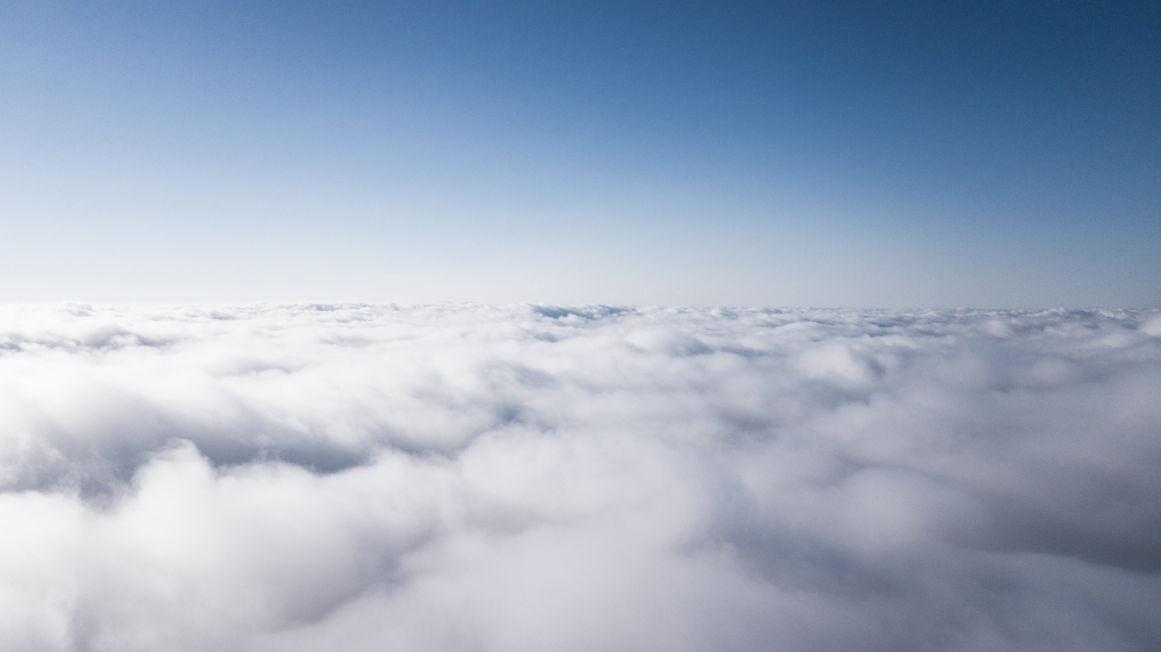 Cloud contract management software can revolutionize your company.