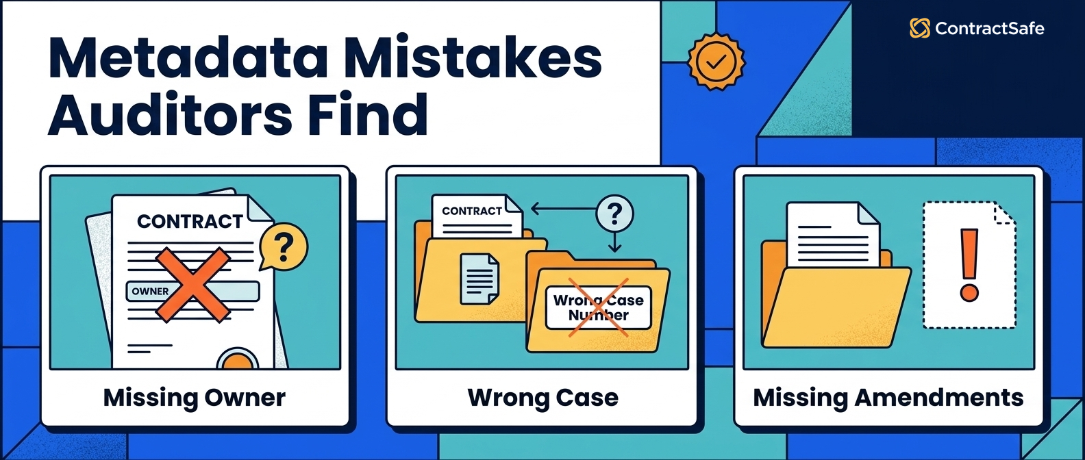 Metadata Mistakes Auditors Find