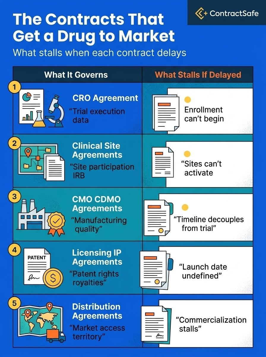 The Contracts That Get a Drug to Market