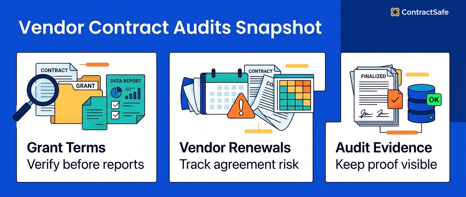 Vendor Contract Audits Snapshot